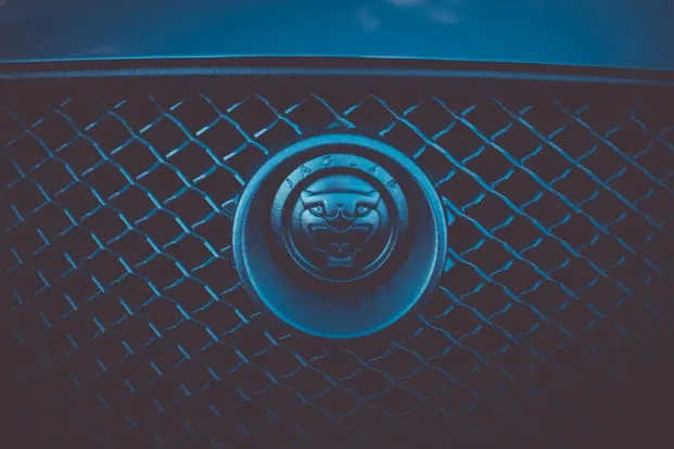 Cleopatra Kasino Android/iOS Aplikácia